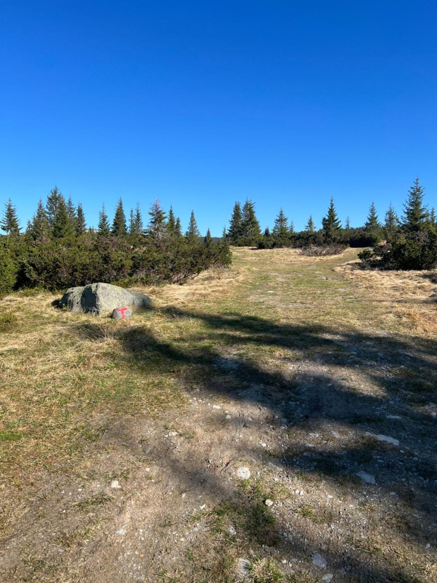 The Perfect * Lillehammer